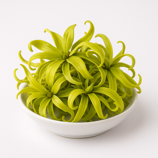 Ylang Oil (Minyak Kenanga)