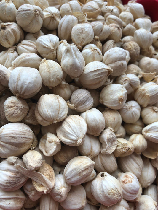 Indonesian Cardamom 40g - Kapulaga