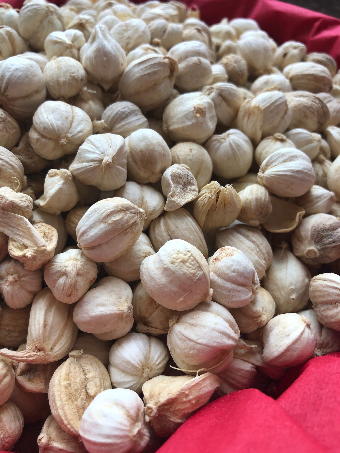 Indonesian Cardamom 40g - Kapulaga