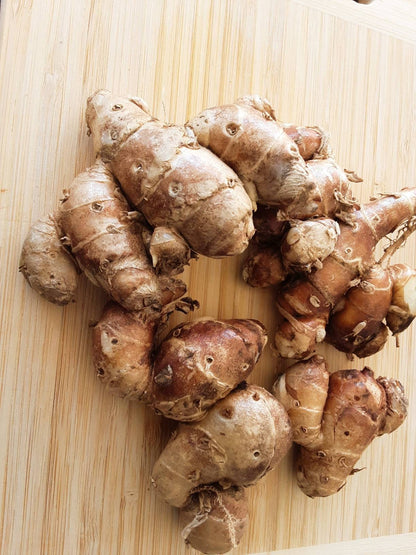 250g Kencur, Sand Ginger, Kaempferia Galanga herbs