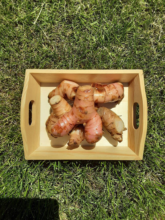 Fresh galangal roots 500gr